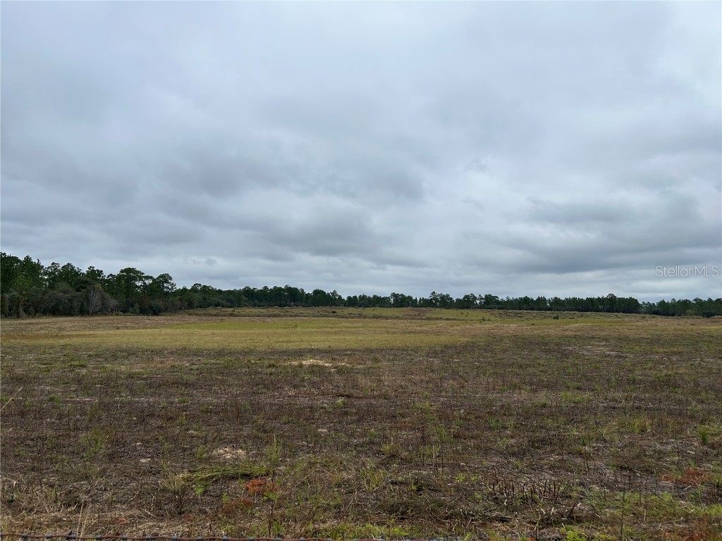 14231 SE 80th Street Morriston FL 32668 OM712417 image1