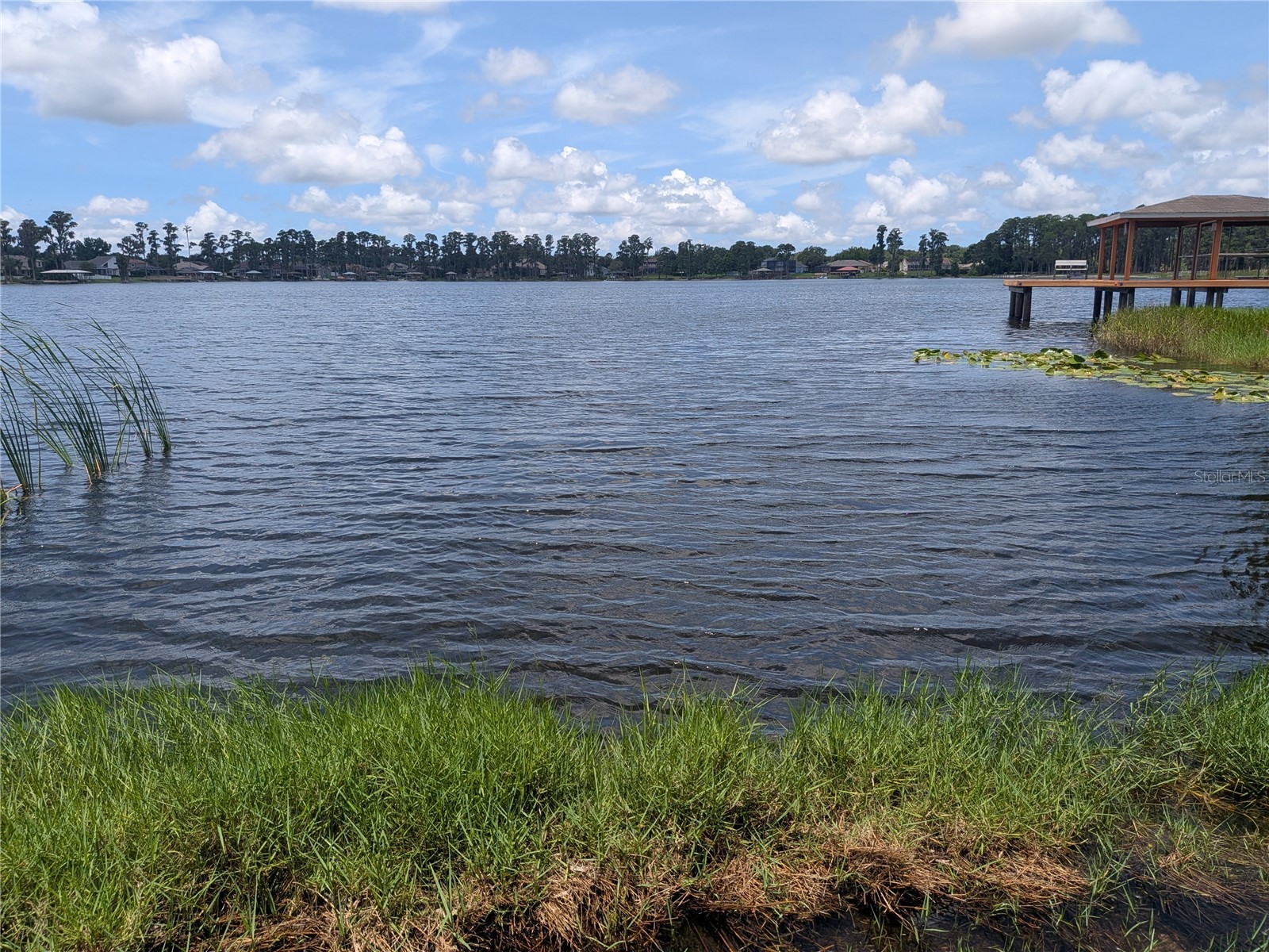 14232 Chisholm Lane Odessa FL 33556 - LAKE ANNE TB8515139 image19