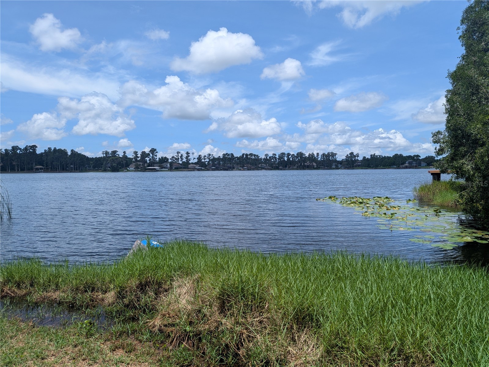 14232 Chisholm Lane Odessa FL 33556 - LAKE ANNE TB8515139 image21