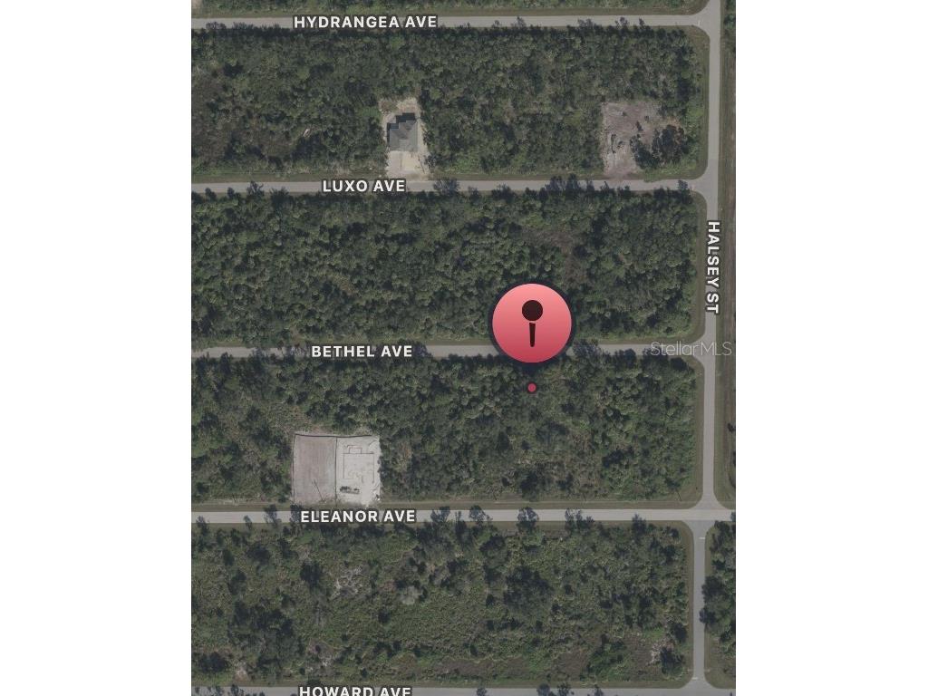 14233 Bethel Avenue Port Charlotte FL 33953 O6350972 image2