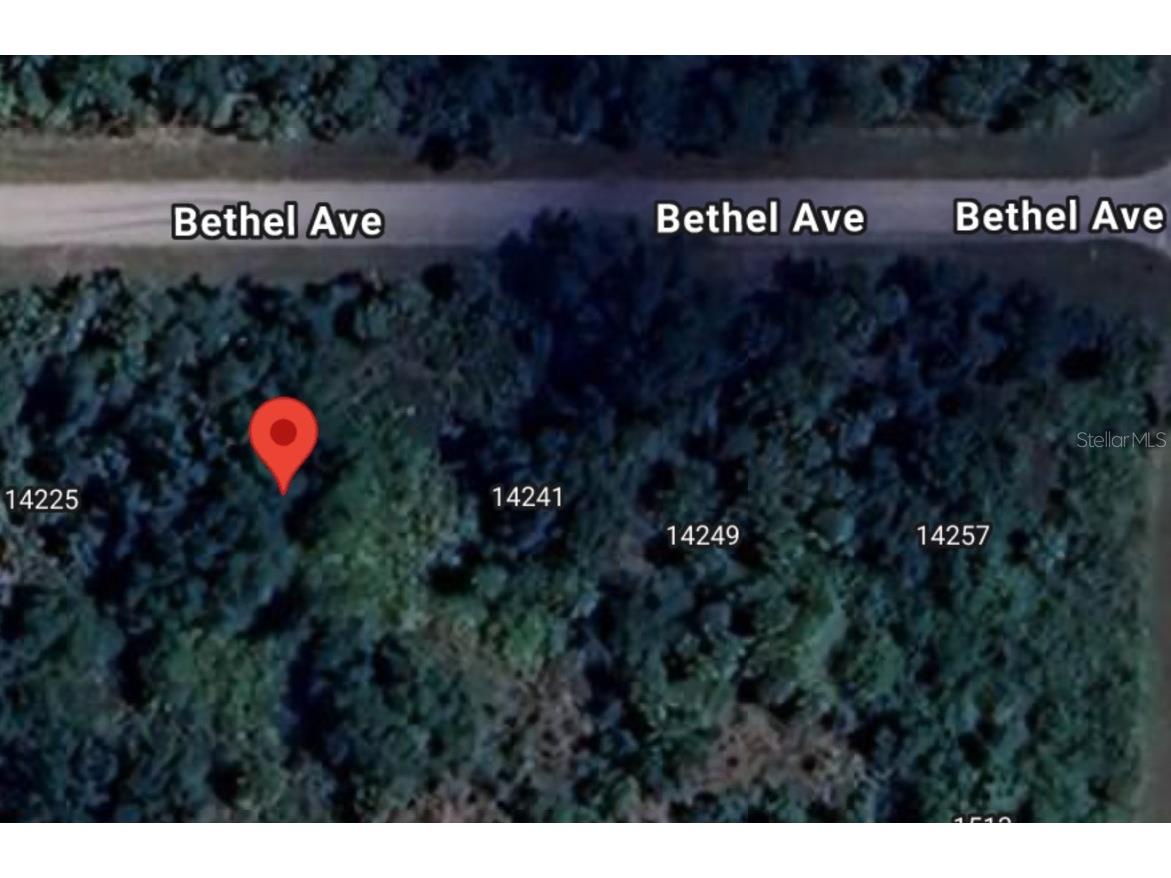 14233 Bethel Avenue Port Charlotte FL 33953 O6350972 image3