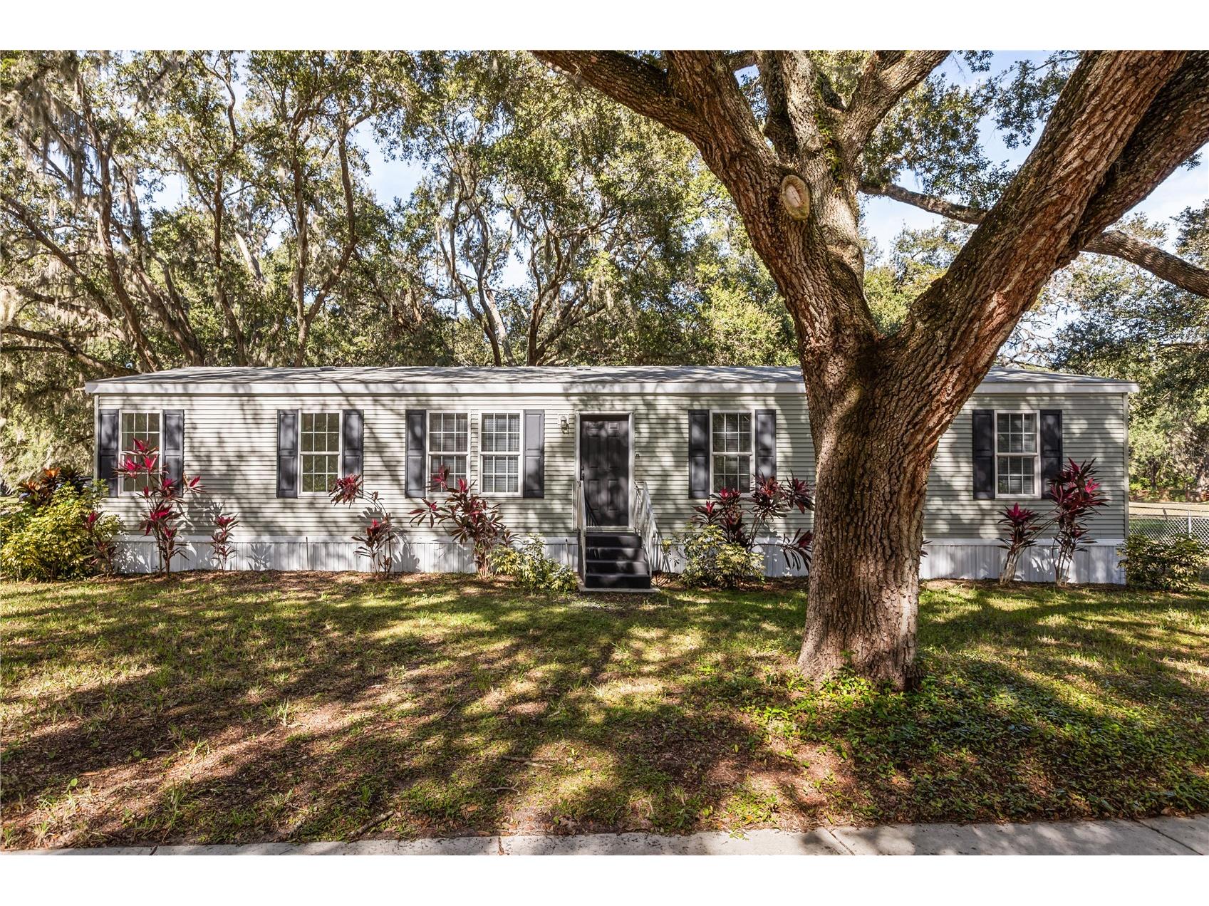 14233 Tassleflower Court Astatula FL 34705 O6358918 image1