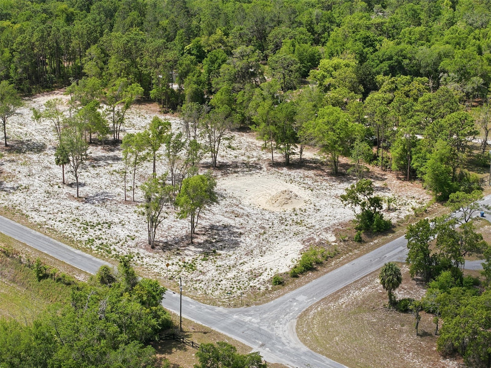 14235 Carolina Dove Road Weeki Wachee FL 34614 W7884425 image4