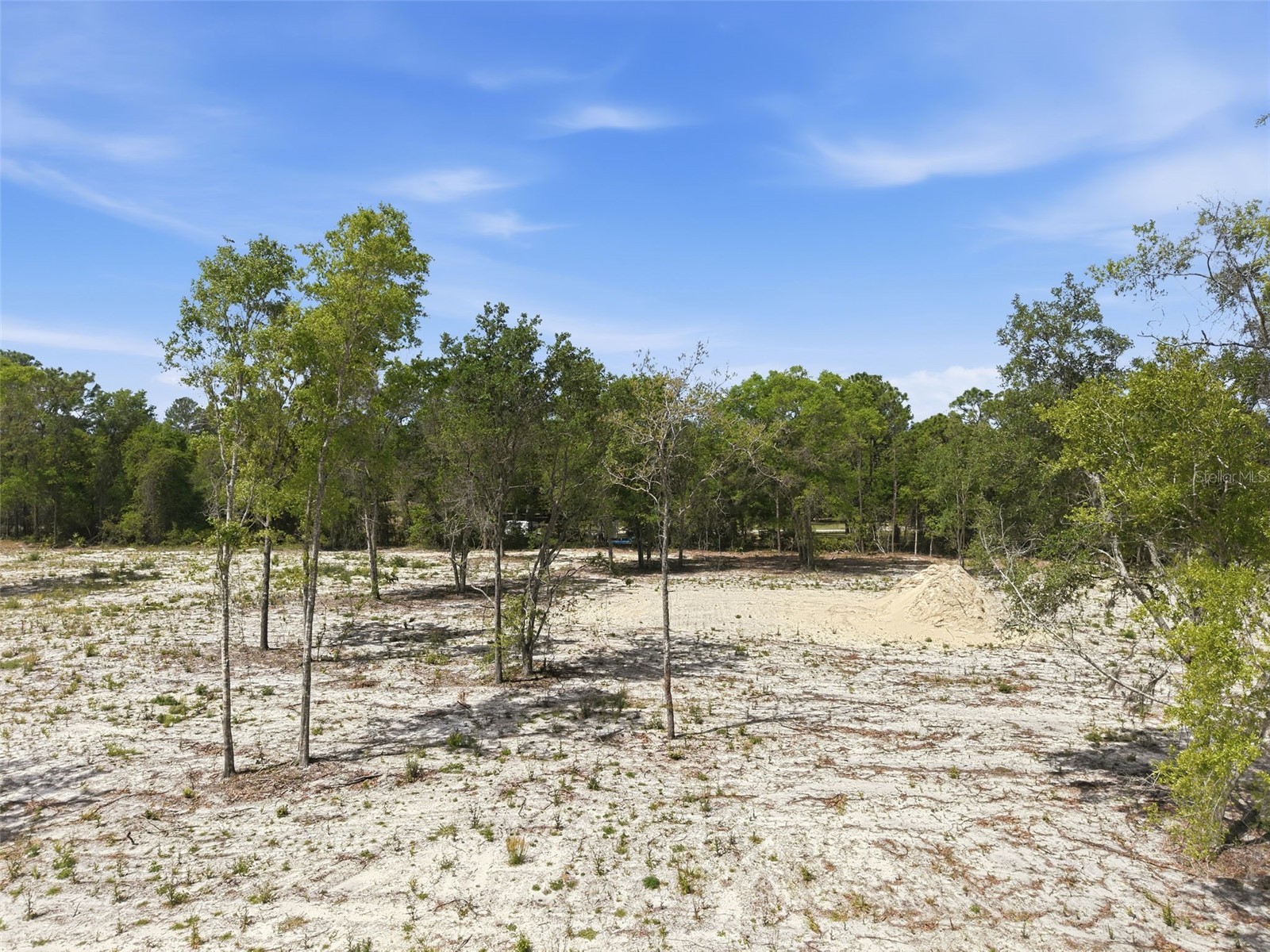 14235 Carolina Dove Road Weeki Wachee FL 34614 W7884425 image8