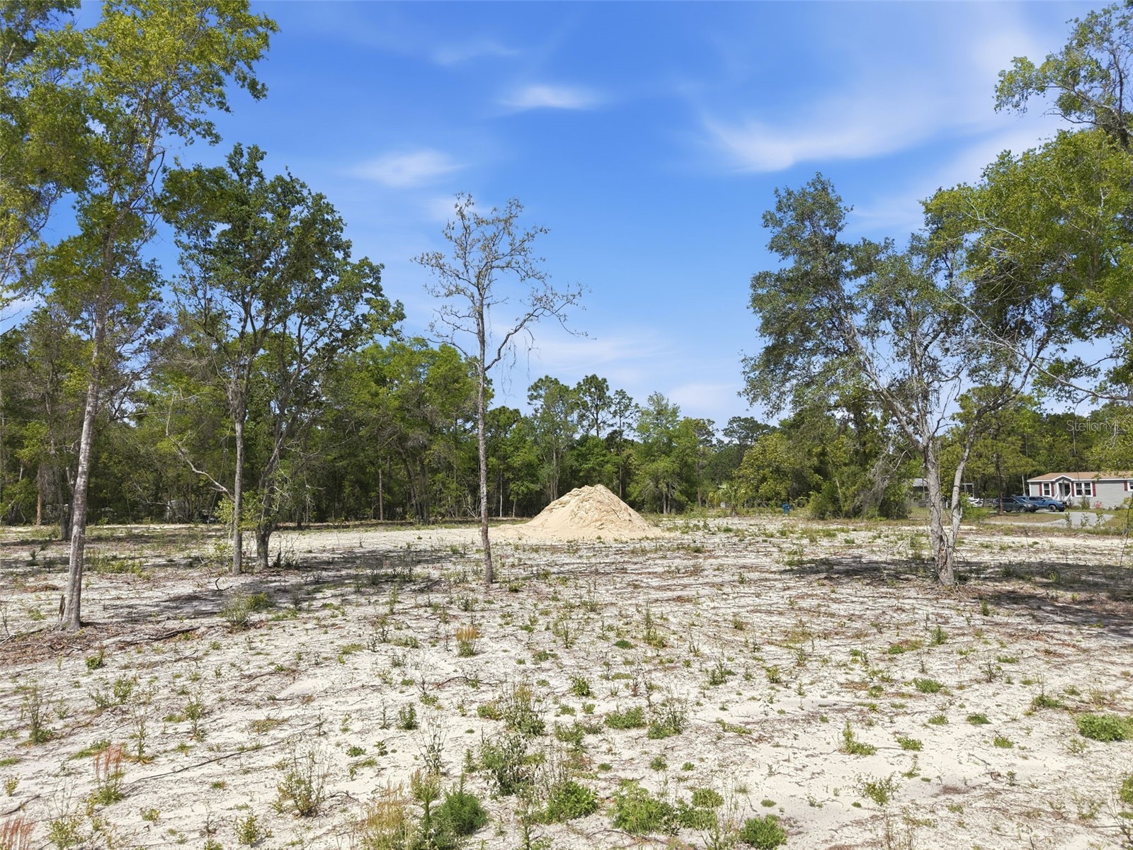 14235 Carolina Dove Road Weeki Wachee FL 34614 W7884425 image9