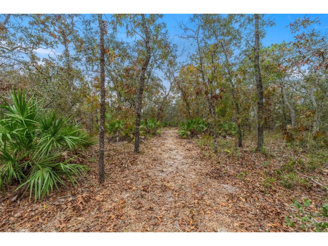 14235 Hurricane Drive Weeki Wachee FL 34614 W7881164 image44