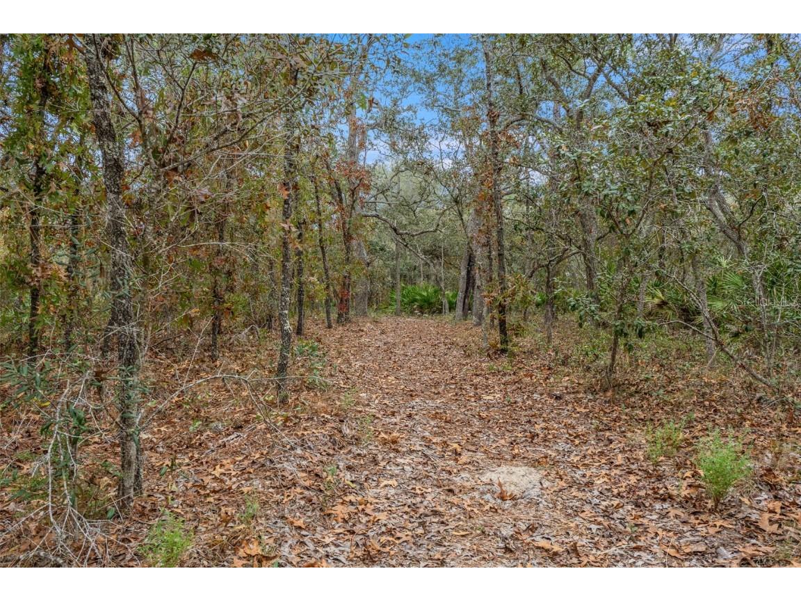 14235 Hurricane Drive Weeki Wachee FL 34614 W7881164 image45