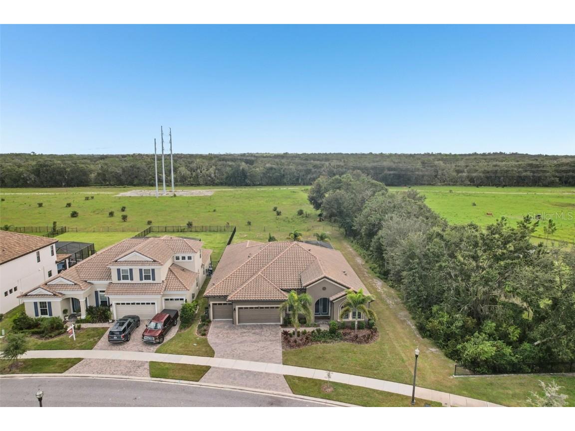 14235 Swiss Bridge Drive Riverview FL 33579 TB8435759 image53