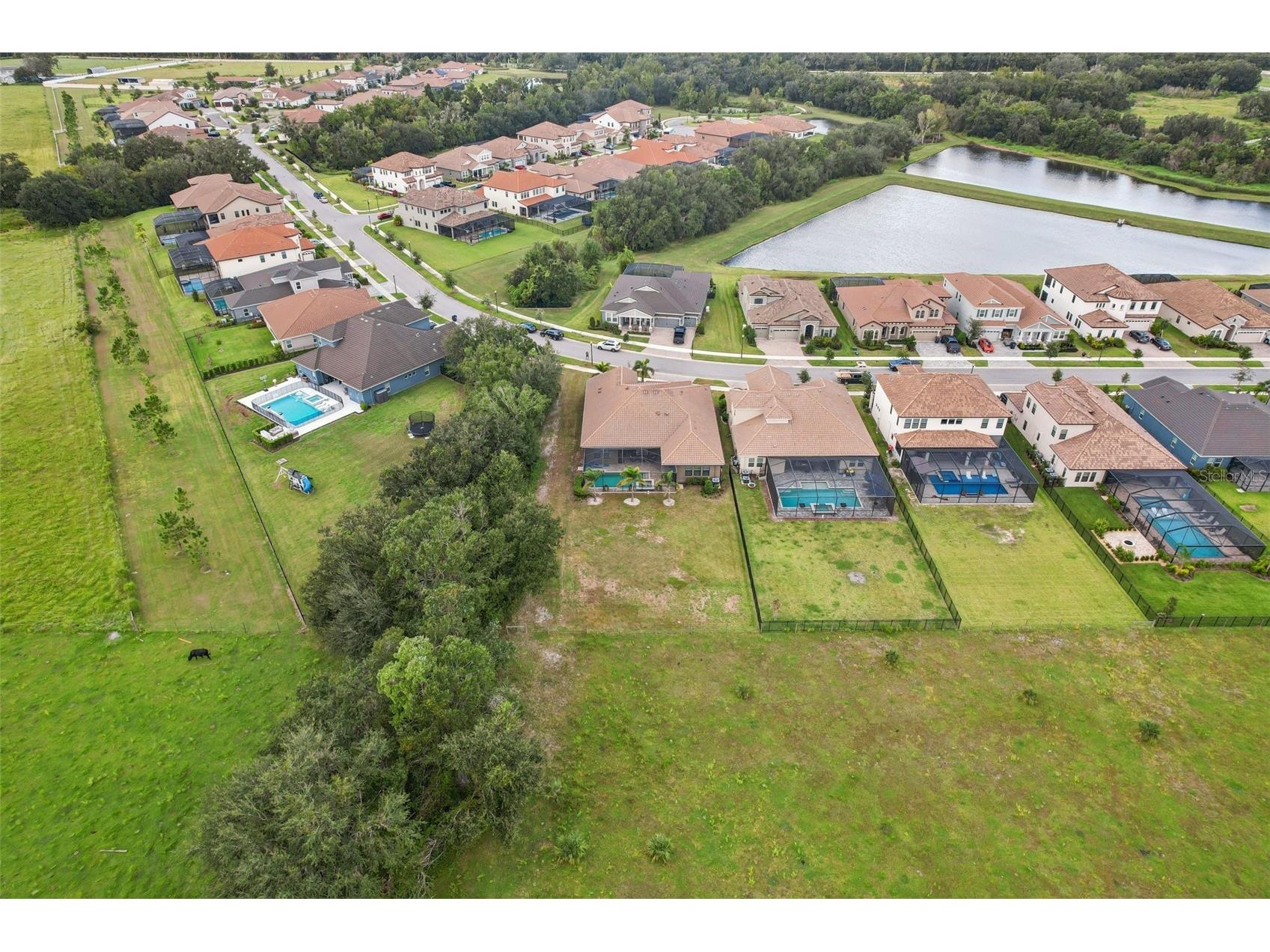 14235 Swiss Bridge Drive Riverview FL 33579 TB8511904 image53