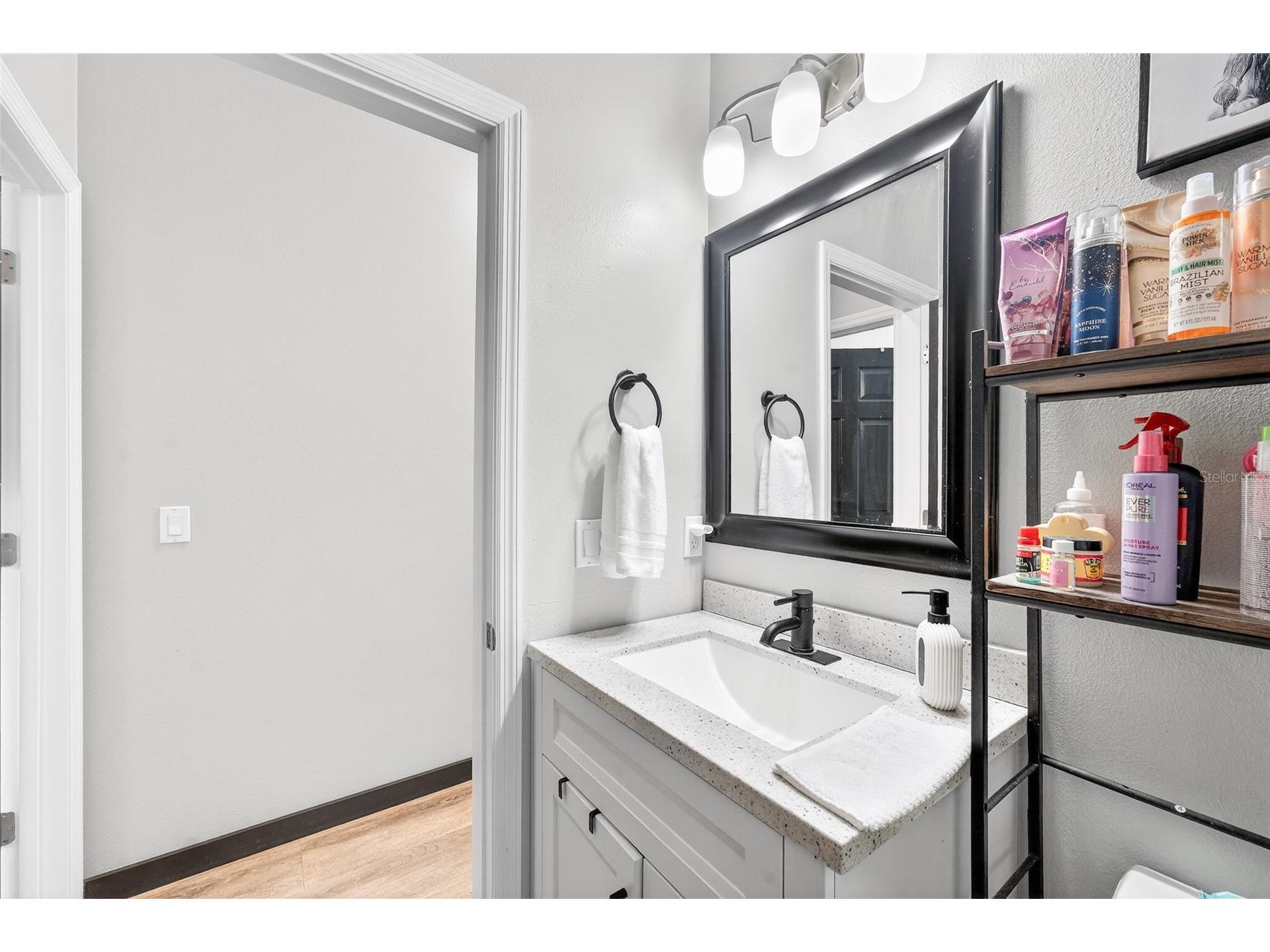 14236 Oasis Cove Blvd Windermere FL 34786 O6395058 image42