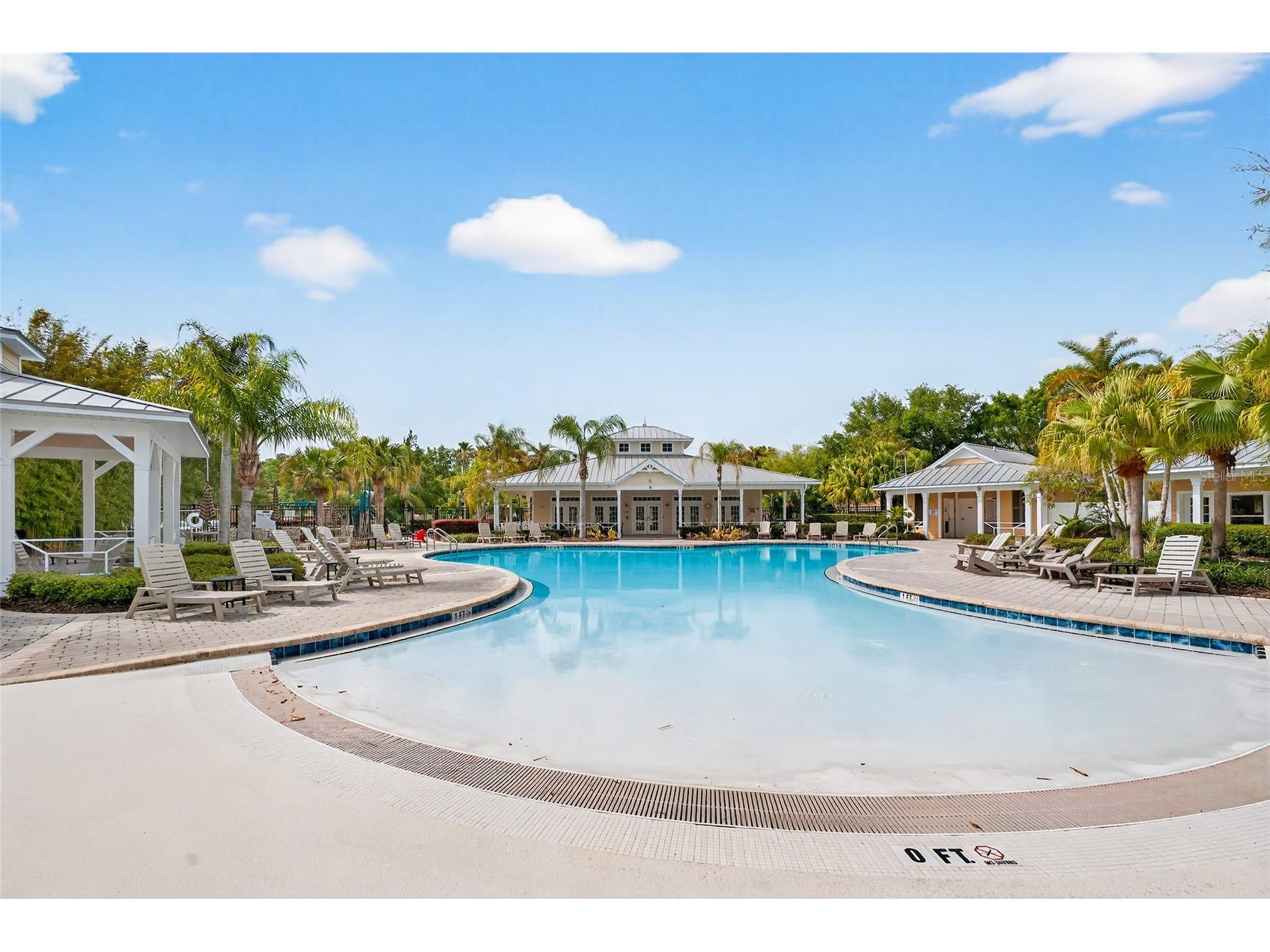 14236 Oasis Cove Blvd Windermere FL 34786 O6395058 image49