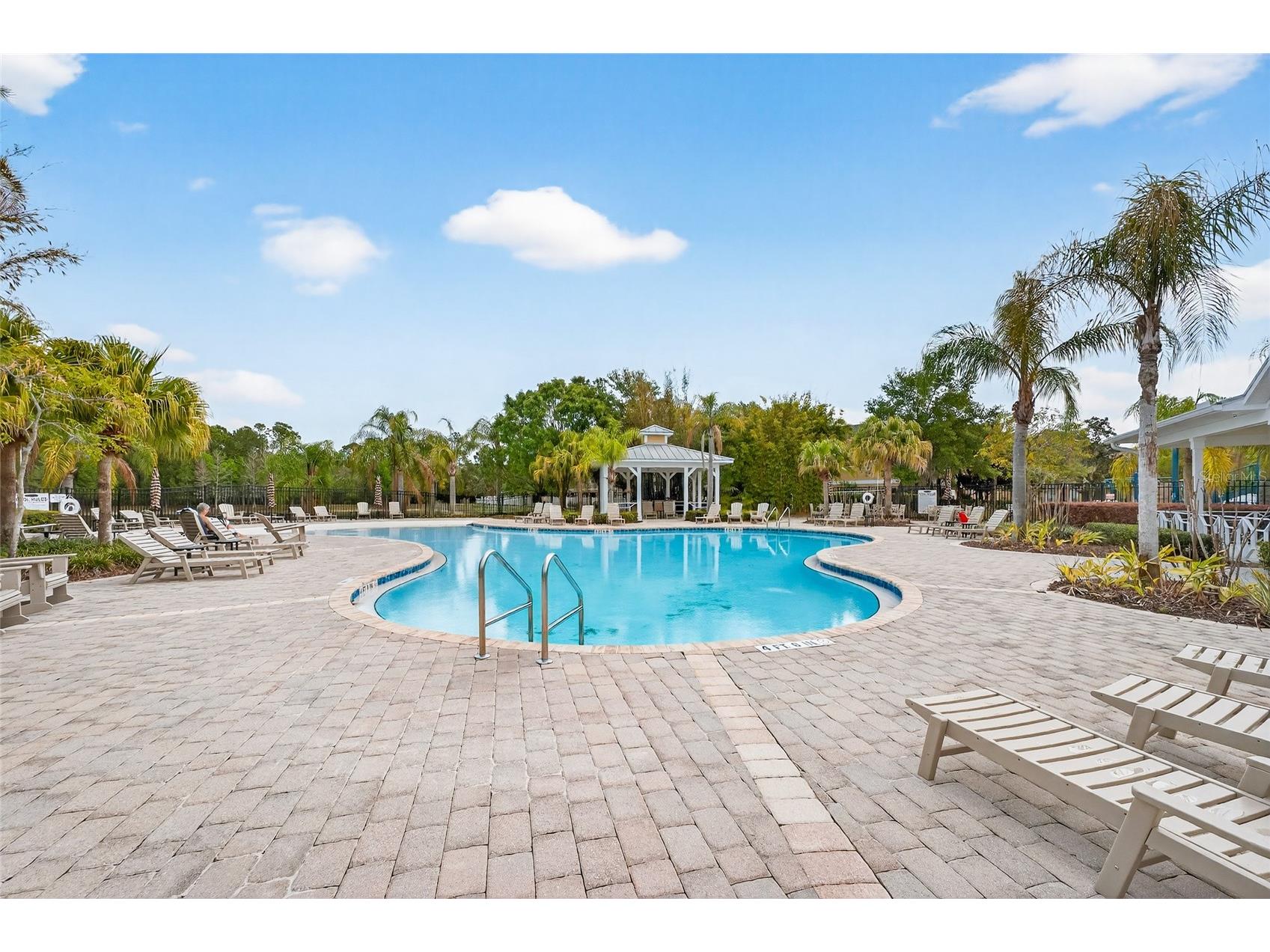 14236 Oasis Cove Blvd Windermere FL 34786 O6395058 image50