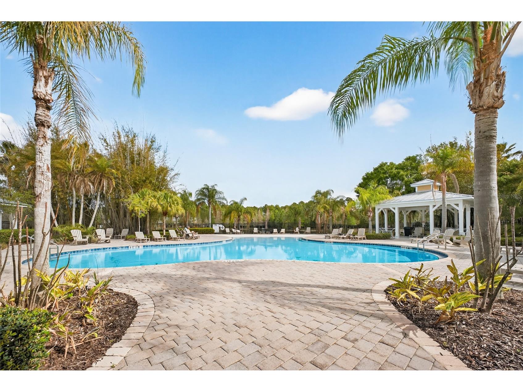 14236 Oasis Cove Blvd Windermere FL 34786 O6395058 image51