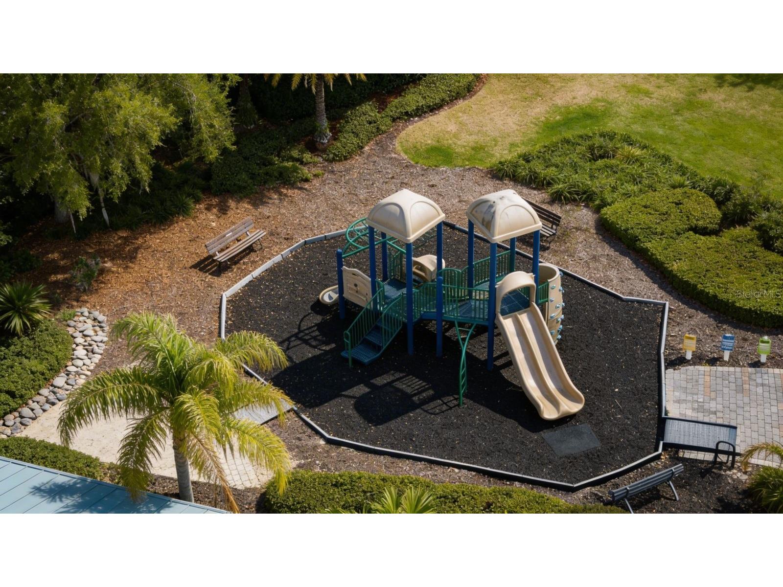 14236 Oasis Cove Blvd Windermere FL 34786 O6395058 image57