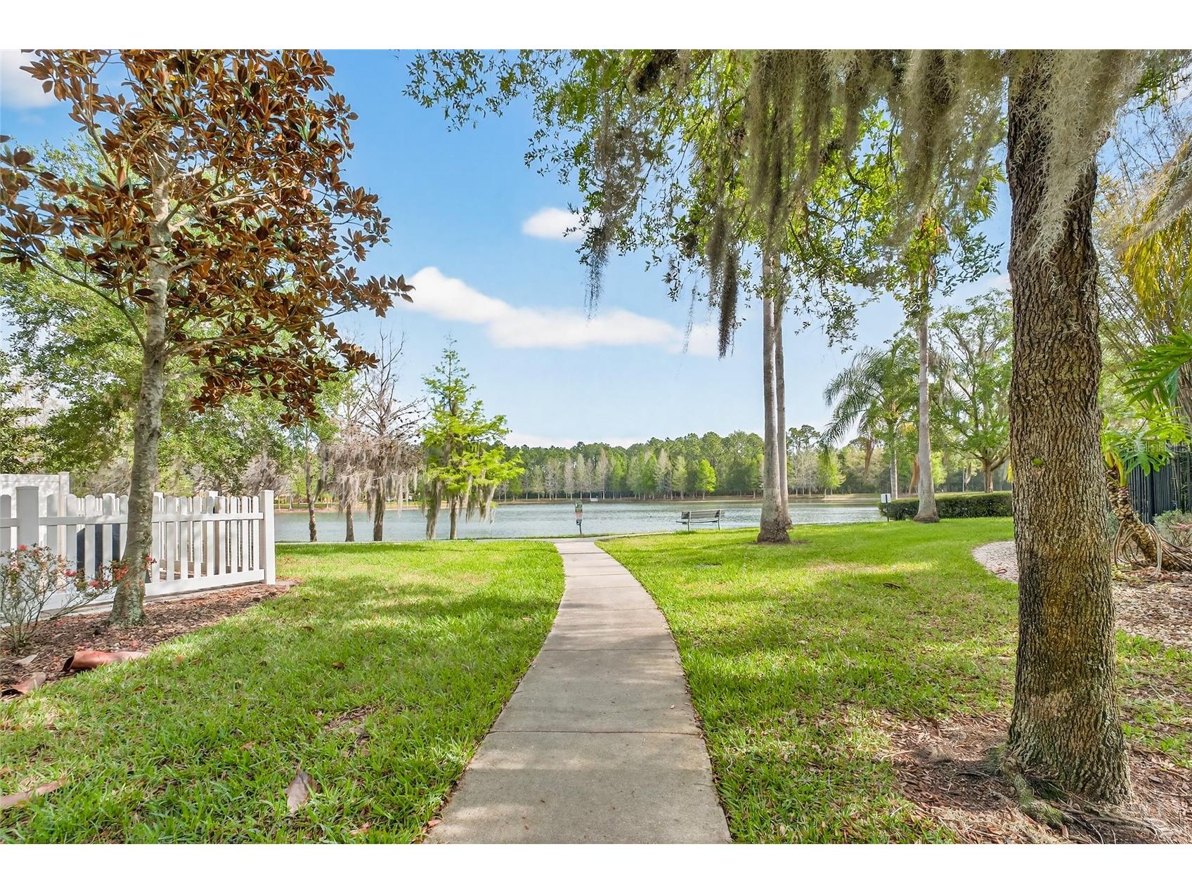 14236 Oasis Cove Blvd Windermere FL 34786 O6395058 image58