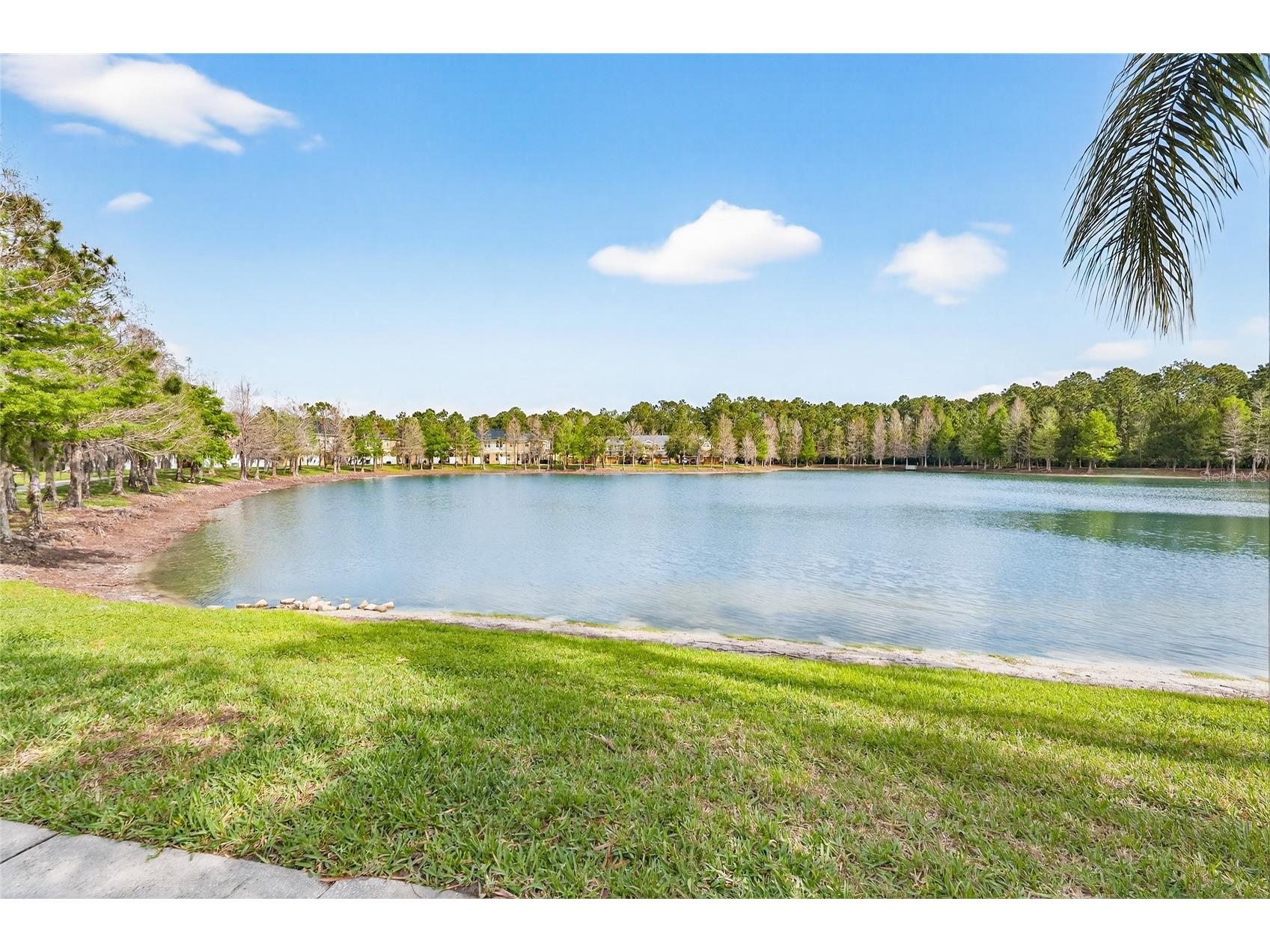 14236 Oasis Cove Blvd Windermere FL 34786 O6395058 image59