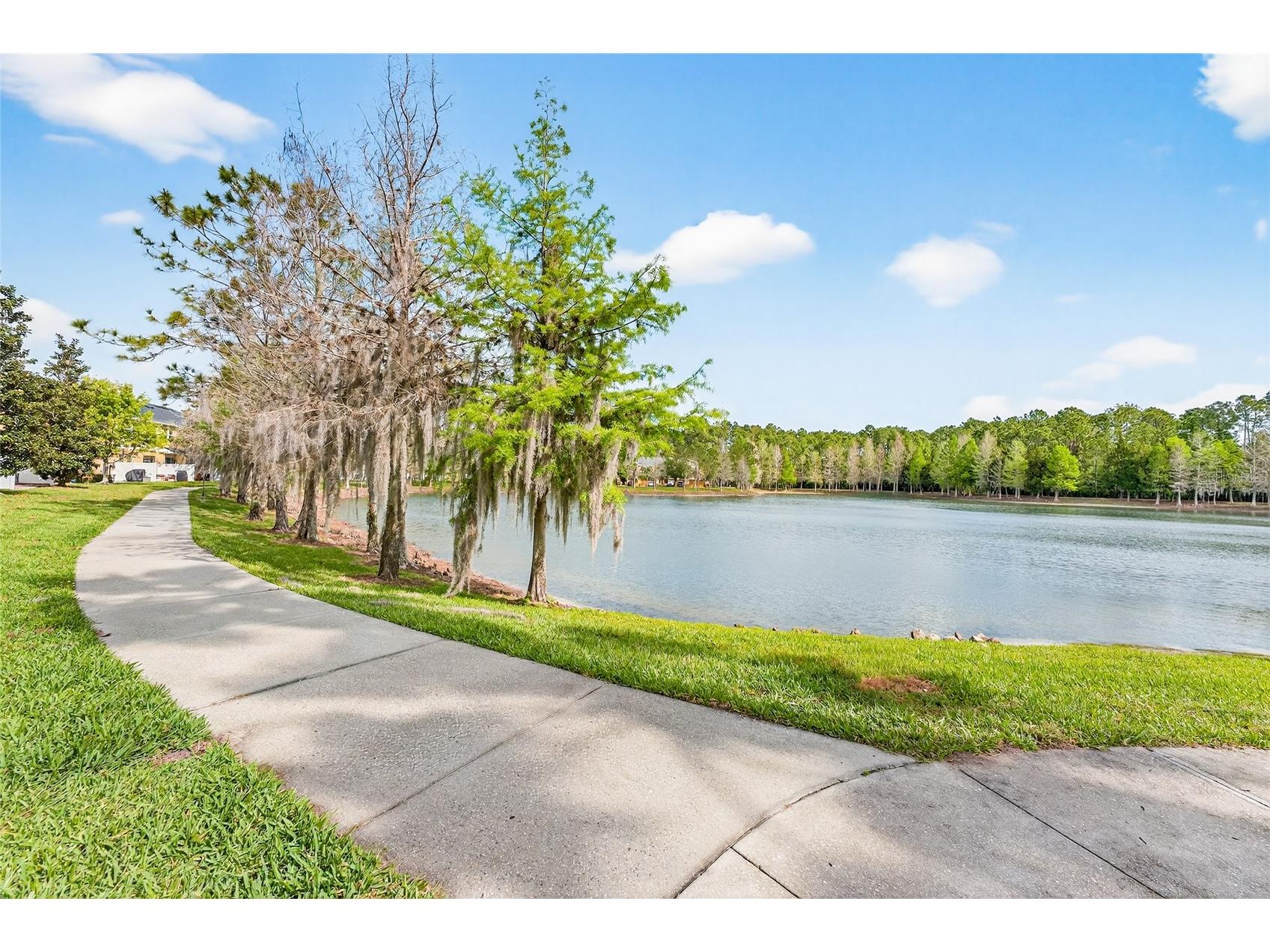 14236 Oasis Cove Blvd Windermere FL 34786 O6395058 image61