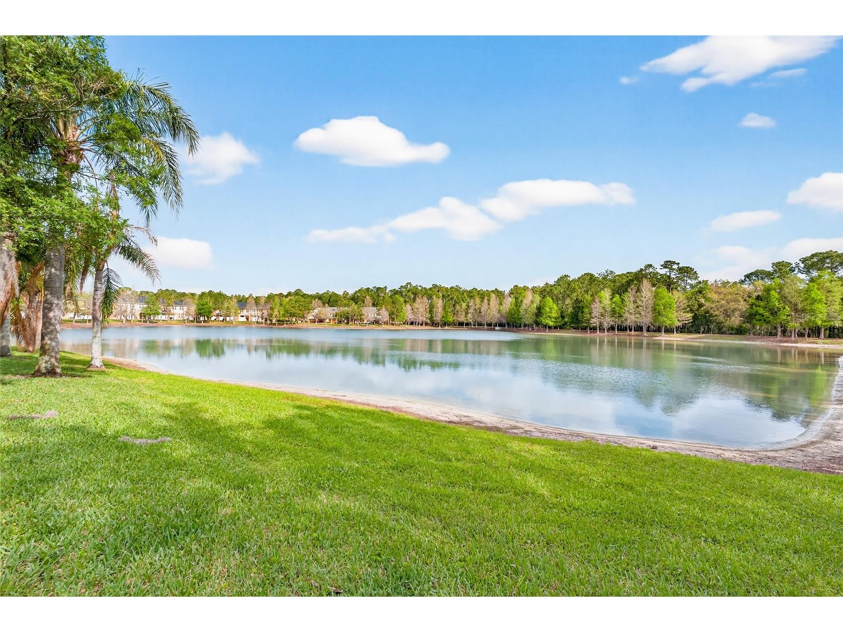 14236 Oasis Cove Blvd Windermere FL 34786 O6395058 image62