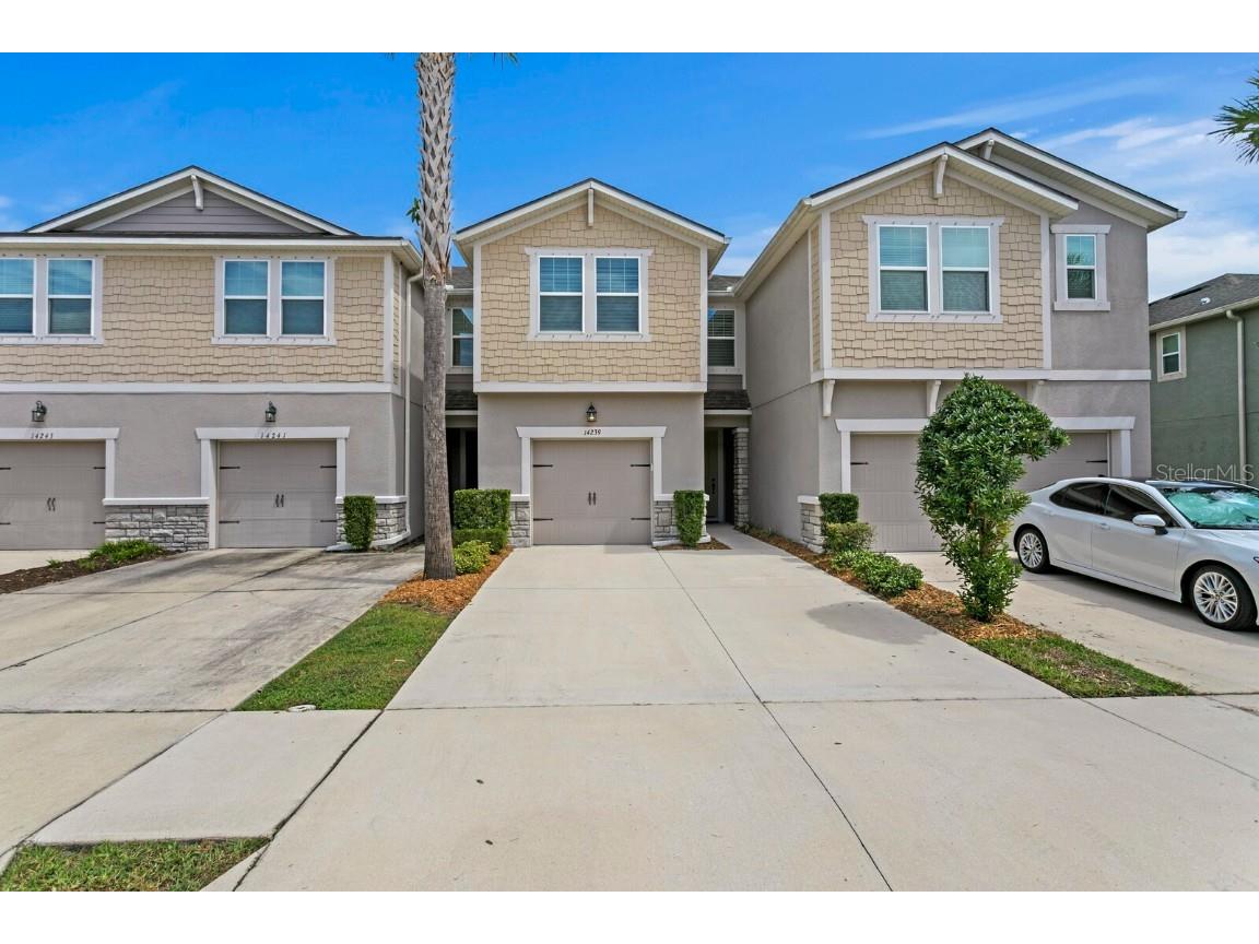 14239 Damselfly Drive Tampa FL 33625 TB8428367 image1