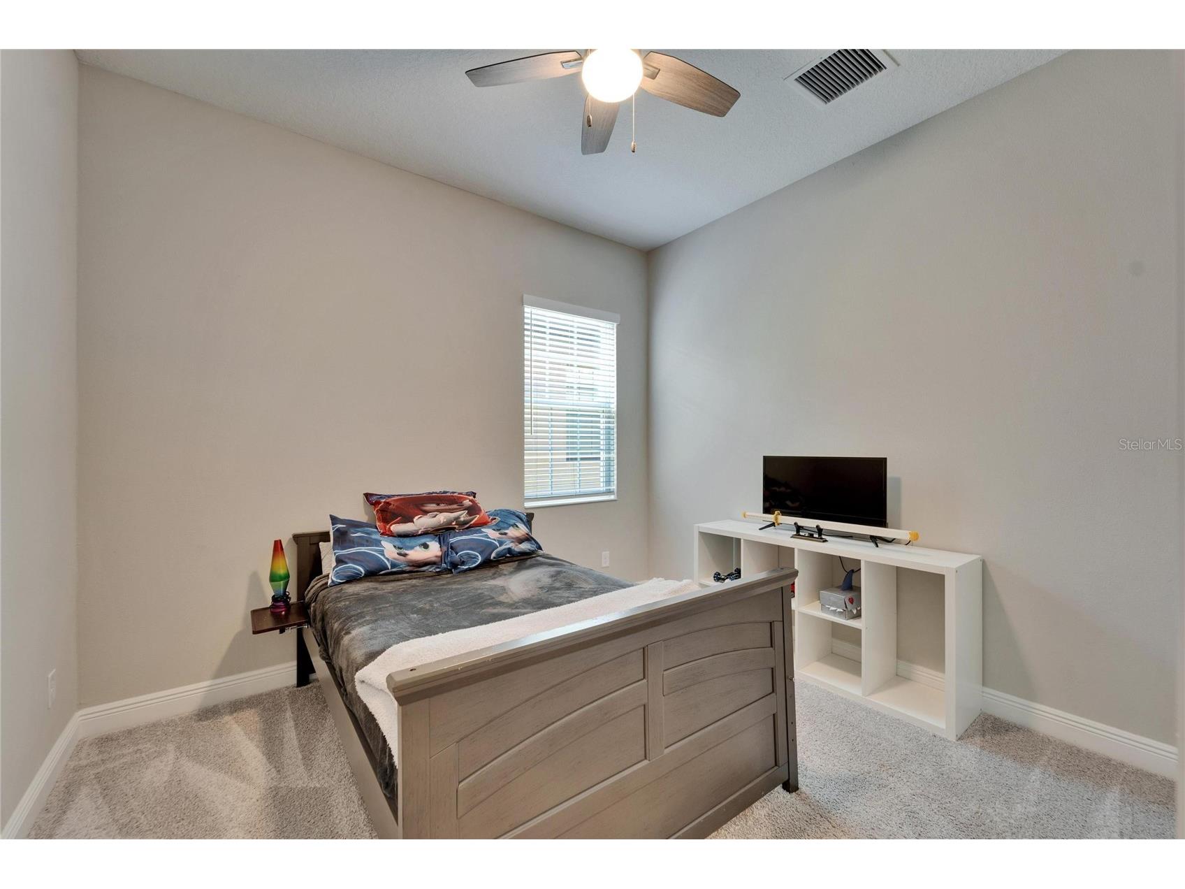14239 Swiss Bridge Drive Riverview FL 33579 TB8476489 image53