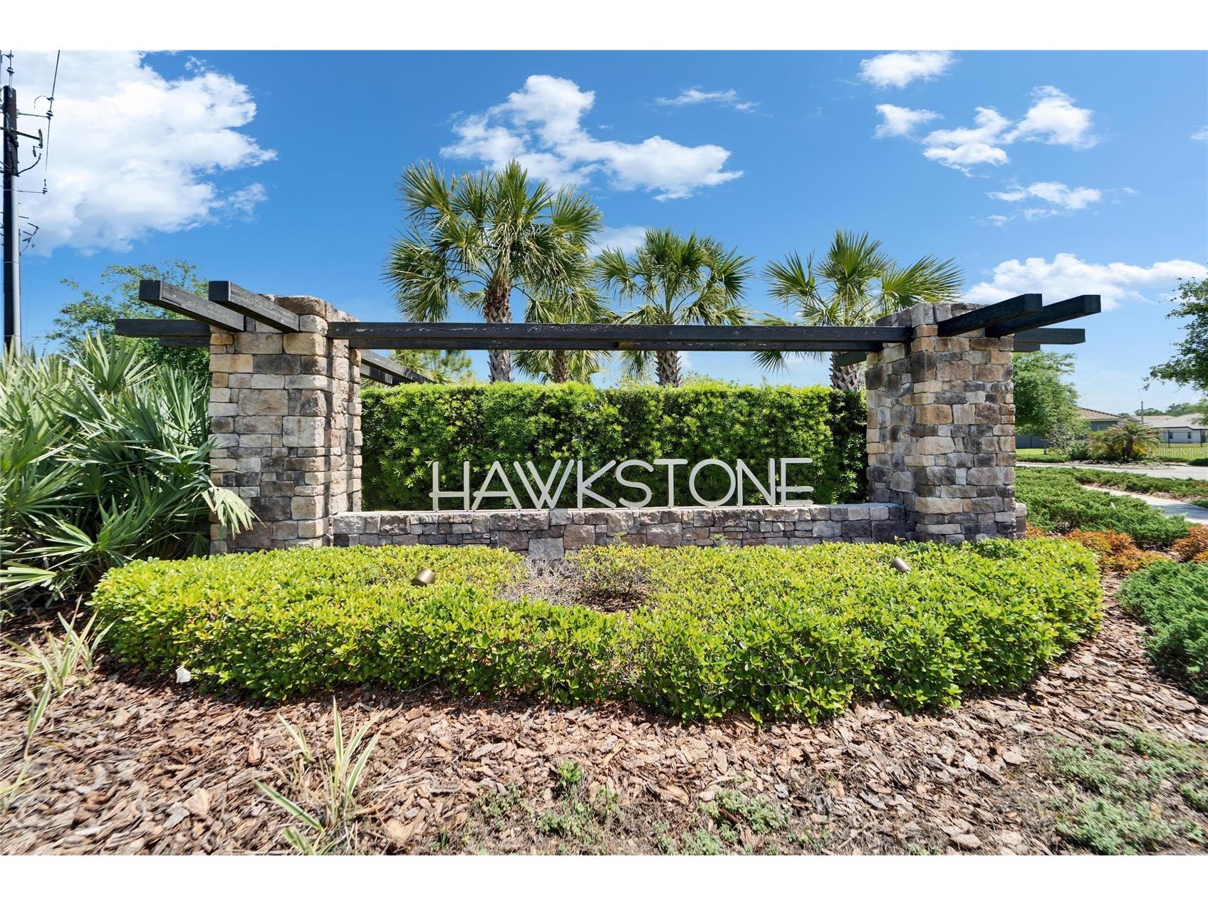 14239 Swiss Bridge Drive Riverview FL 33579 TB8476489 image72