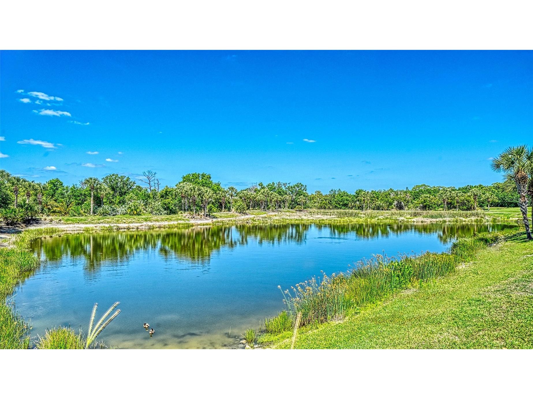1424 Blue Horizon Circle Bradenton FL 34208 A4690638 image45