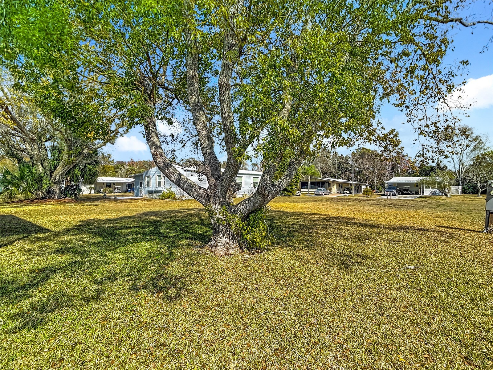 1424 Cross Bow Lane Spring Hill FL 34607 W7879202 image57