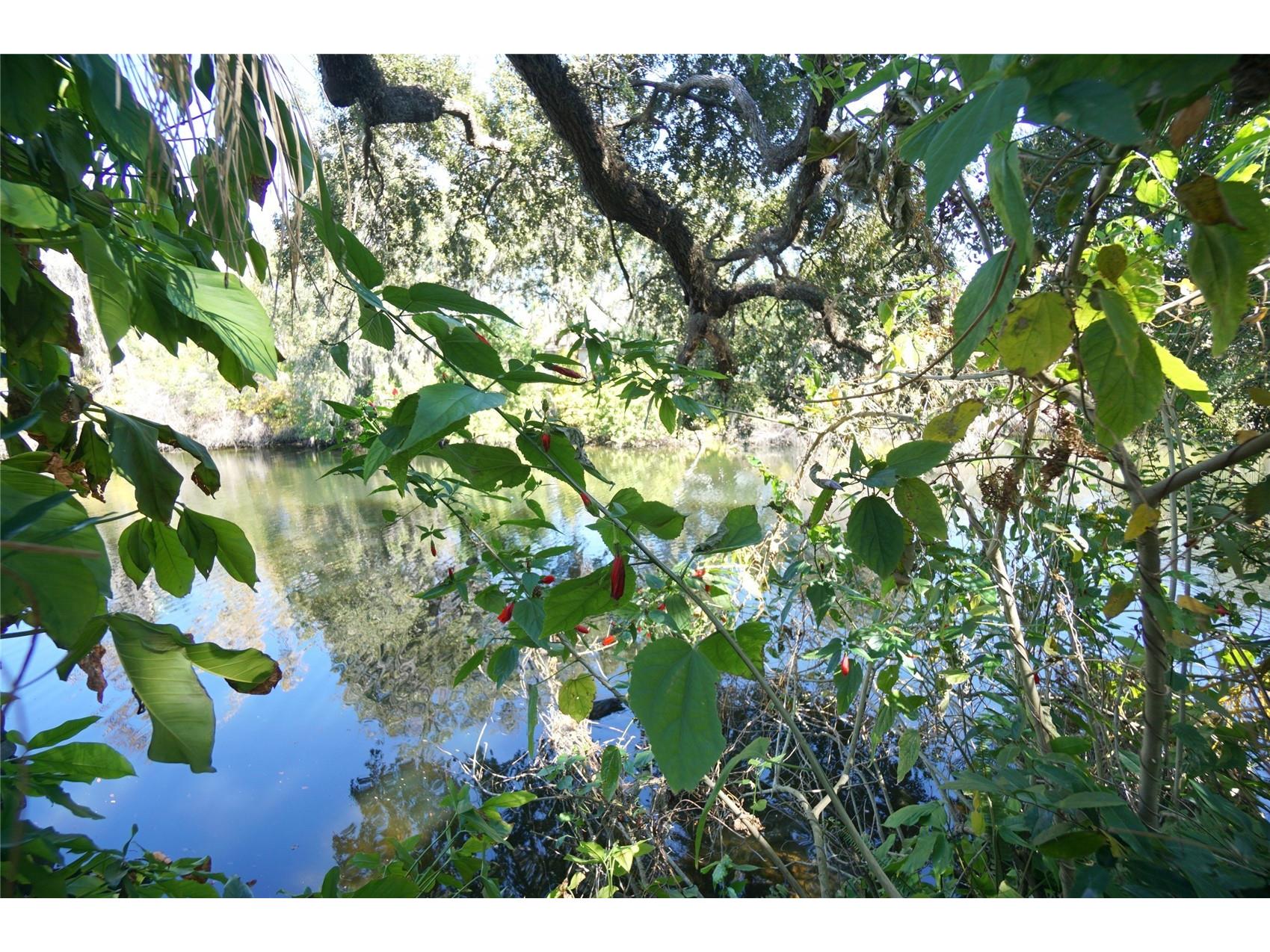 1424 E Park Circle Tampa FL 33604 TB8465497 image1