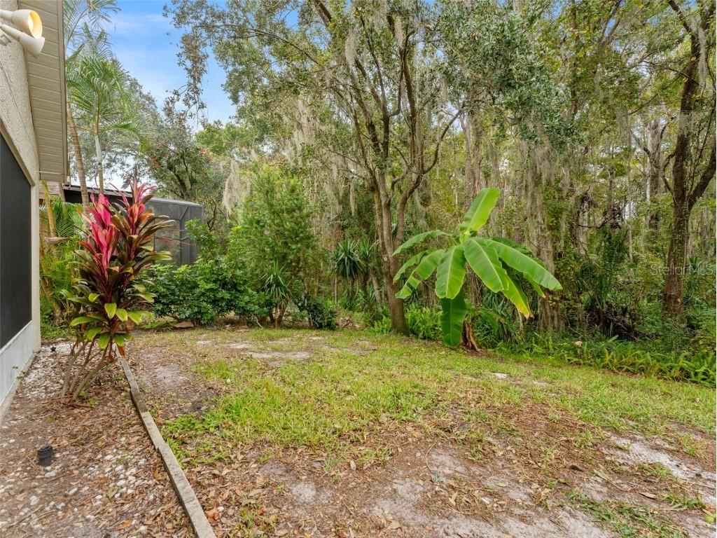 1424 Firewheel Drive Wesley Chapel FL 33543 TB8446312 image33