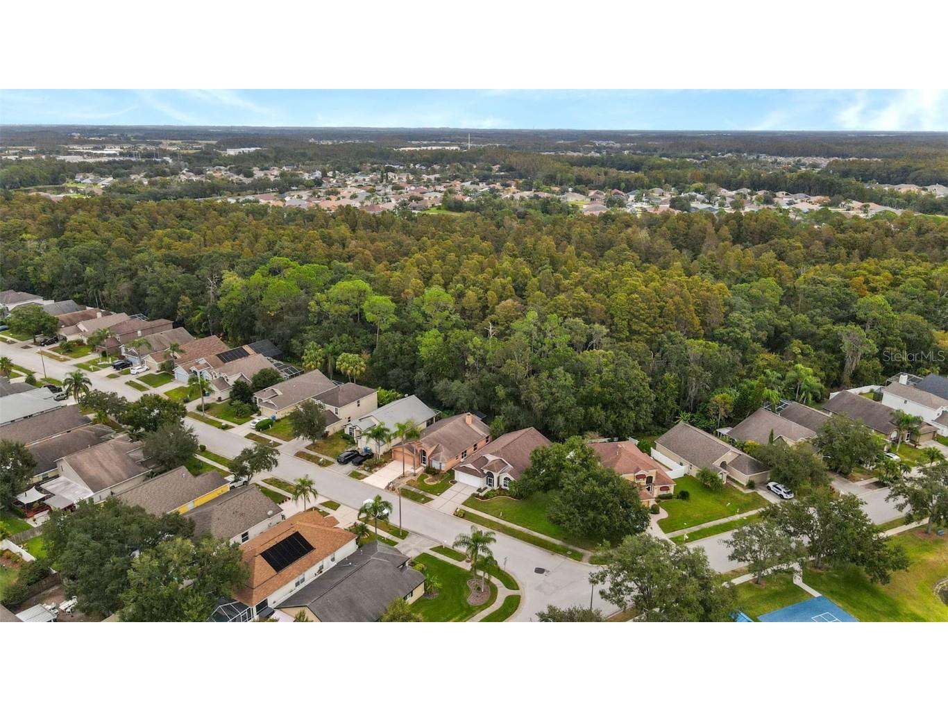 1424 Firewheel Drive Wesley Chapel FL 33543 TB8446312 image37