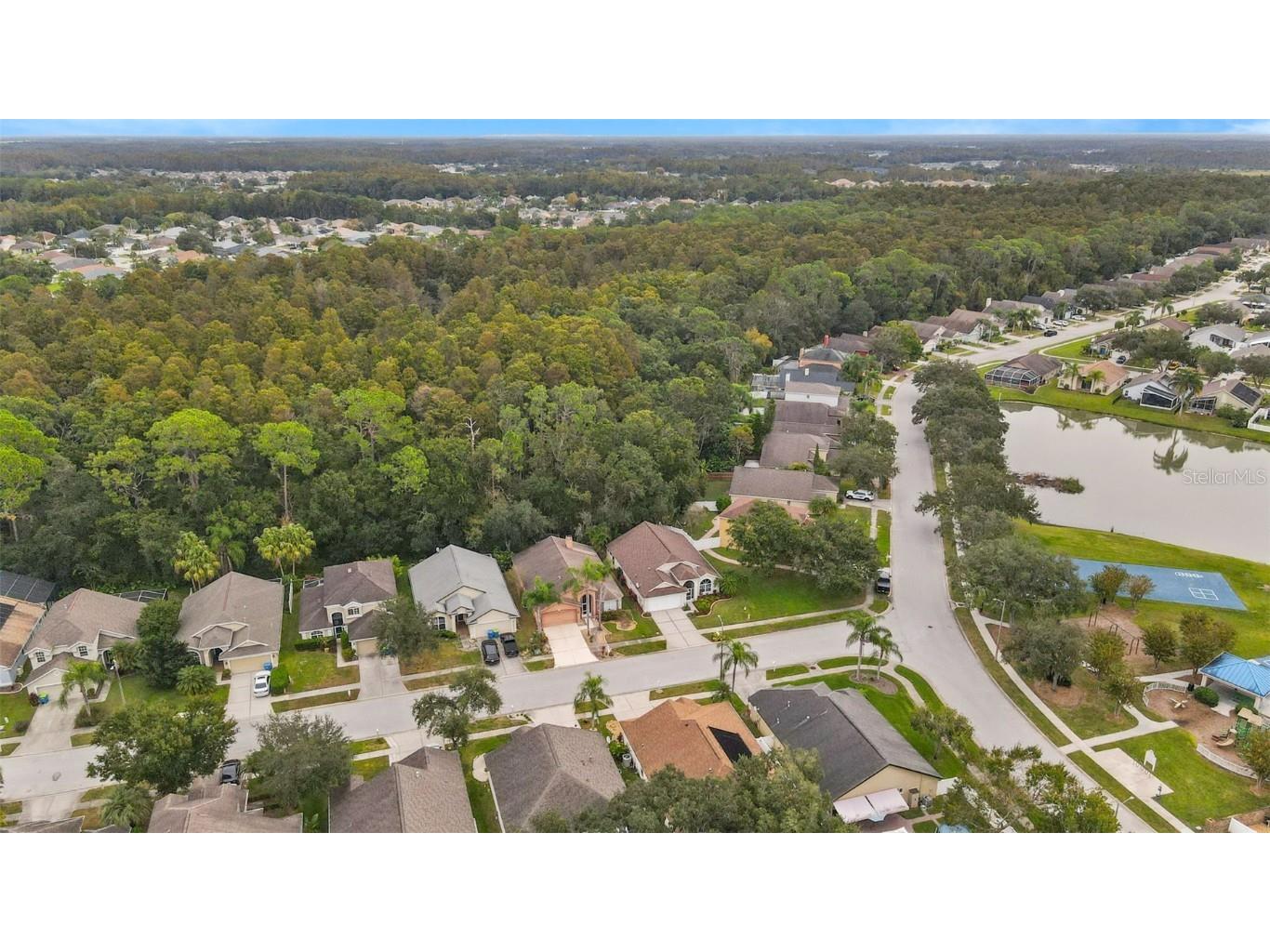 1424 Firewheel Drive Wesley Chapel FL 33543 TB8446312 image38