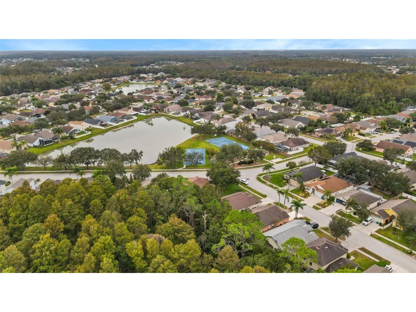 1424 Firewheel Drive Wesley Chapel FL 33543 TB8446312 image39