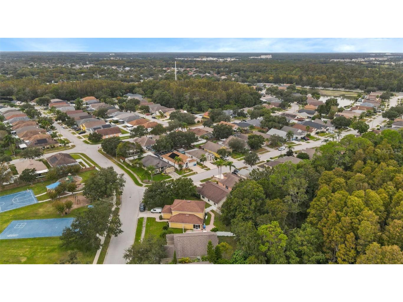 1424 Firewheel Drive Wesley Chapel FL 33543 TB8446312 image40