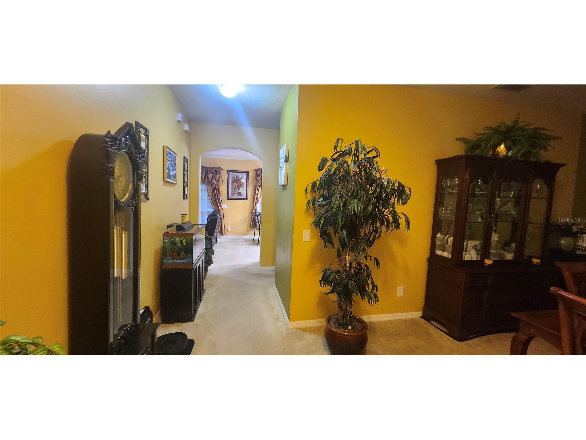 1424 Main Street Valrico FL 33594 TB8528588 image7