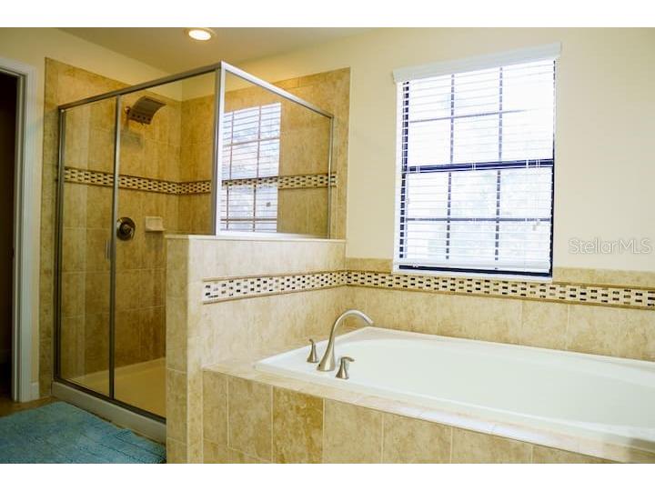 1424 Moon Valley Drive Davenport FL 33896 O6349433 image38