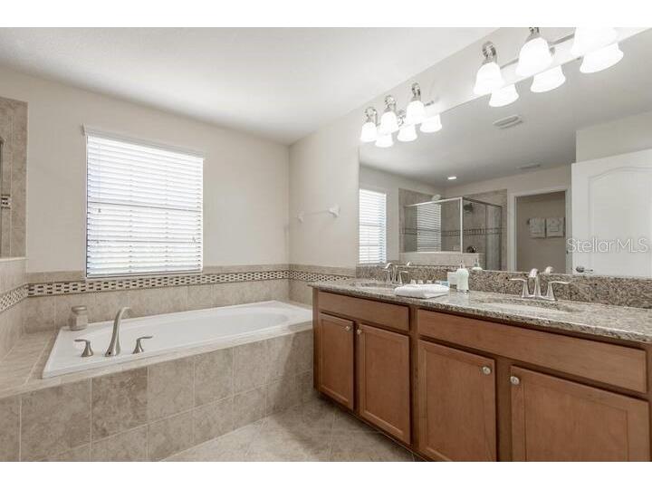 1424 Moon Valley Drive Davenport FL 33896 O6349433 image52