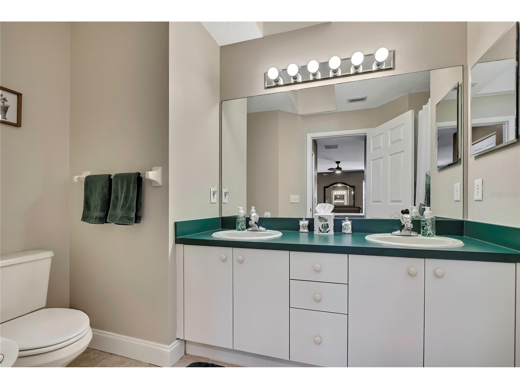 1424 Pinewood Hills Court Spring Hill FL 34606 TB8473176 image28