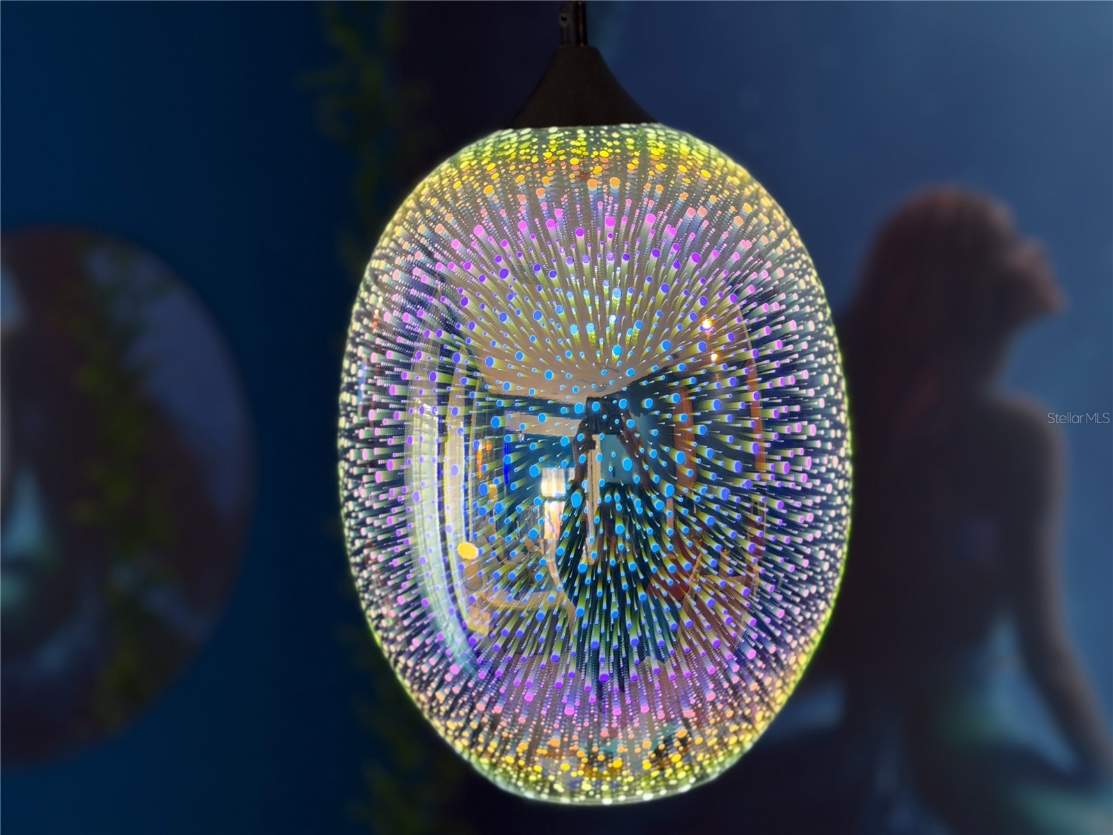 1424 Titian Court Reunion FL 34747 S5144039 image32