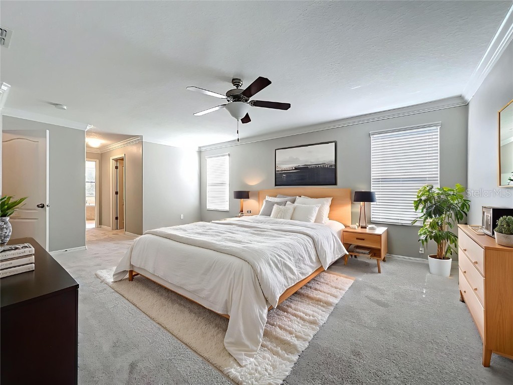 14240 Blue Dasher Drive Riverview FL 33569 TB8409622 image10