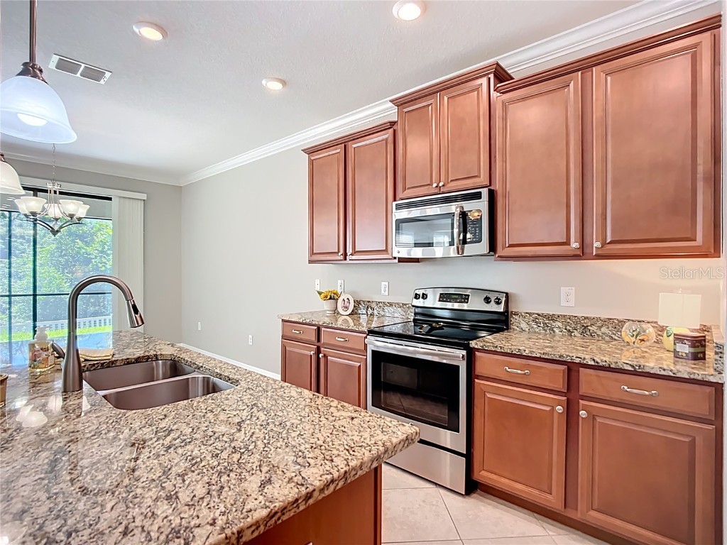 14240 Blue Dasher Drive Riverview FL 33569 TB8409622 image27