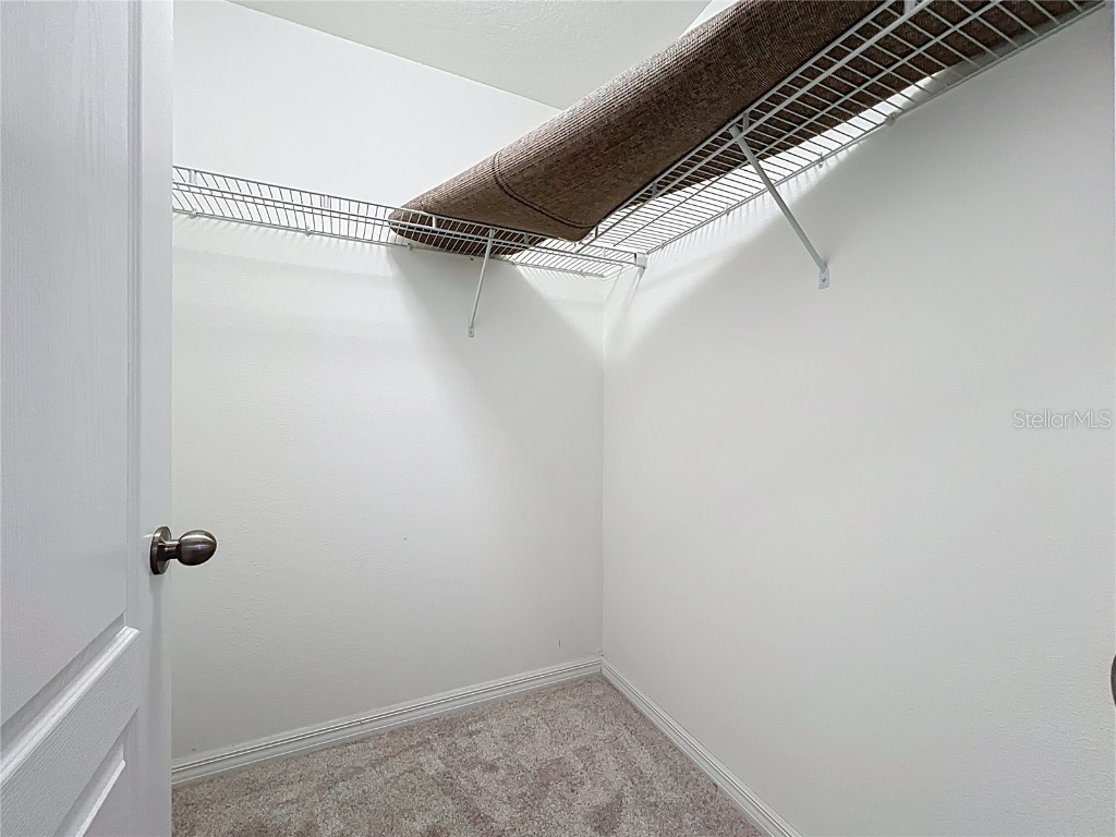 14240 Blue Dasher Drive Riverview FL 33569 TB8409622 image52