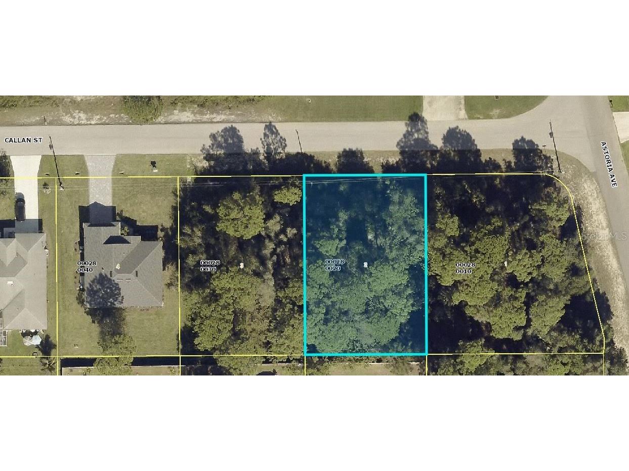 14240 Callan Street Fort Myers FL 33905 T3389885 image1