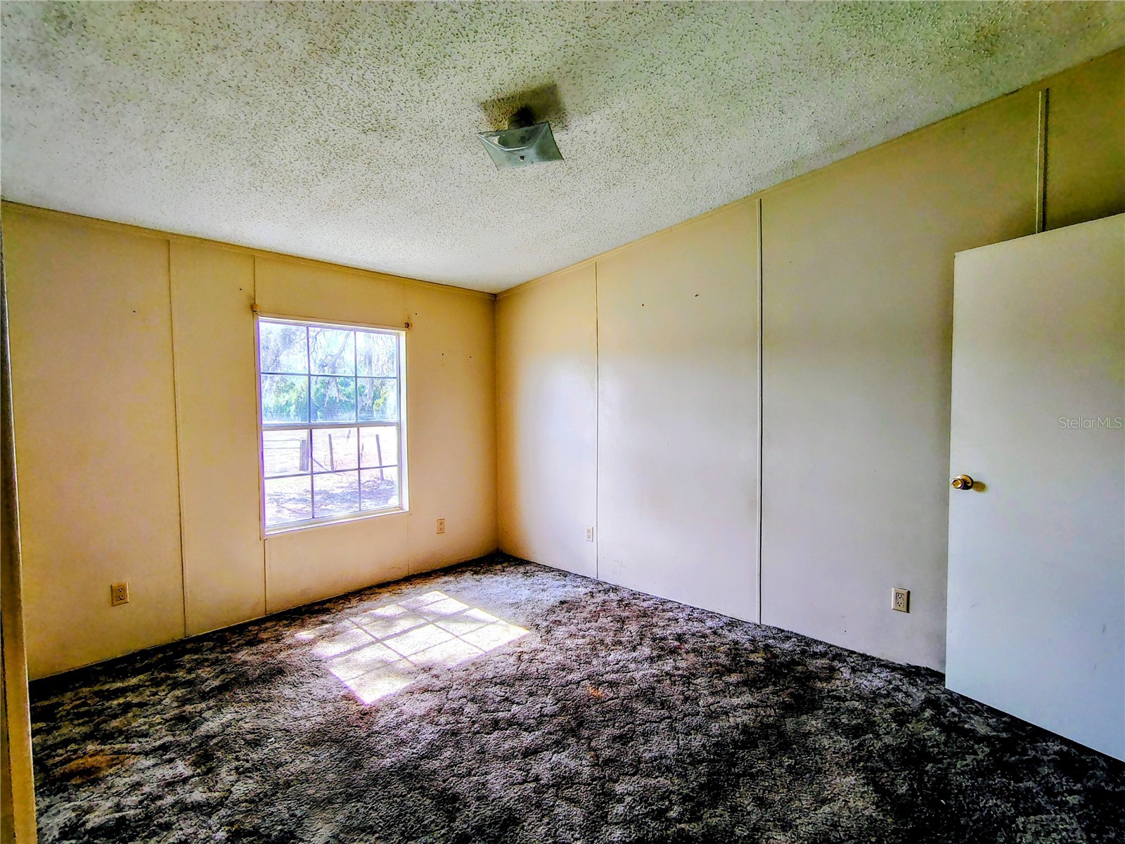 14240 Sr 471 Webster FL 33597 G5108350 image19