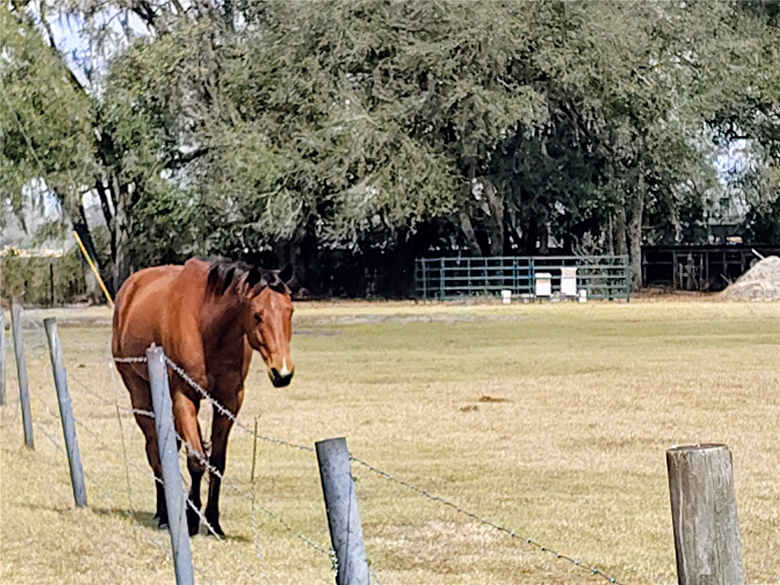 14240 Sr 471 Webster FL 33597 G5108350 image21