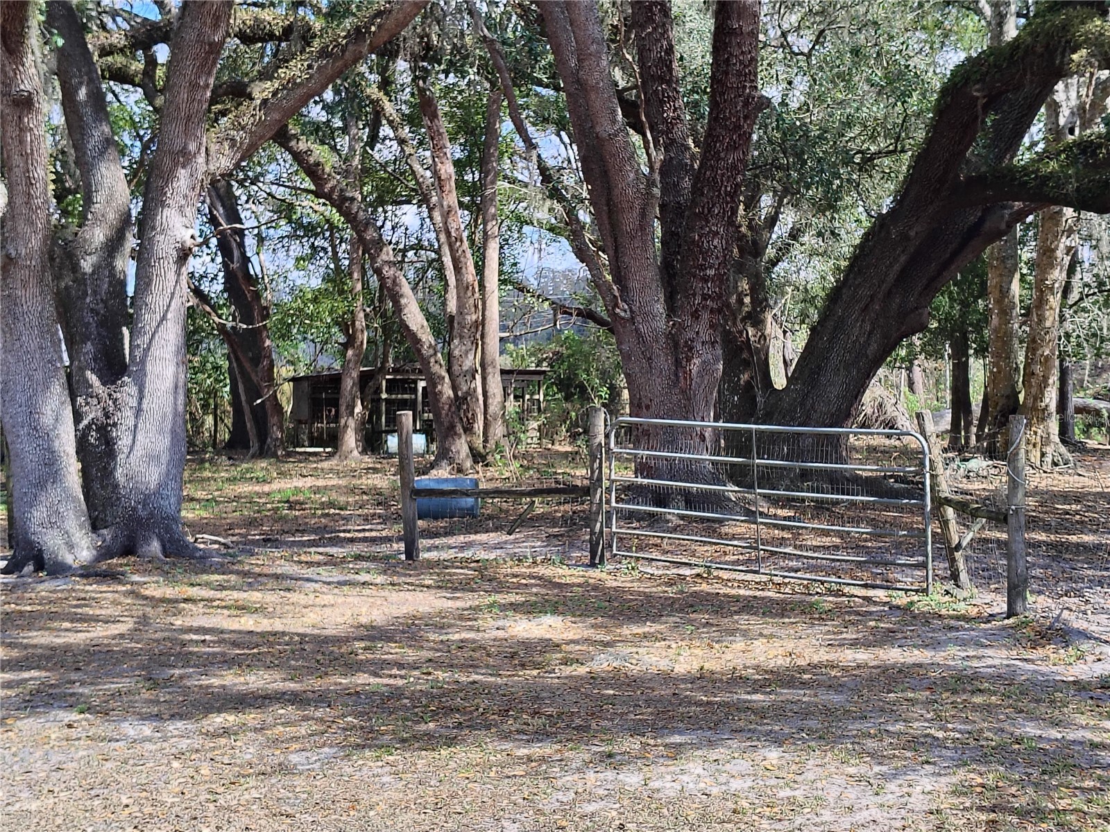 14240 Sr 471 Webster FL 33597 G5108350 image24