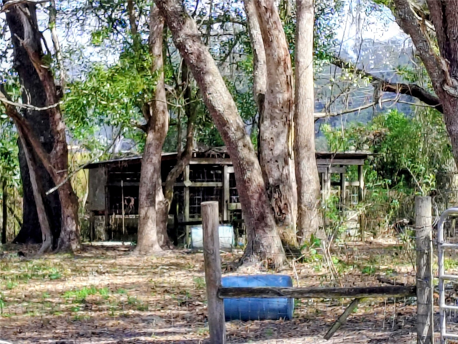 14240 Sr 471 Webster FL 33597 G5108350 image3