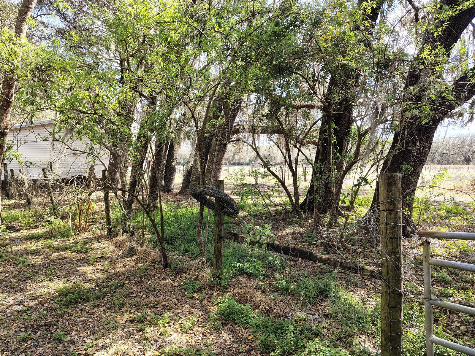 14240 Sr 471 Webster FL 33597 G5108350 image35