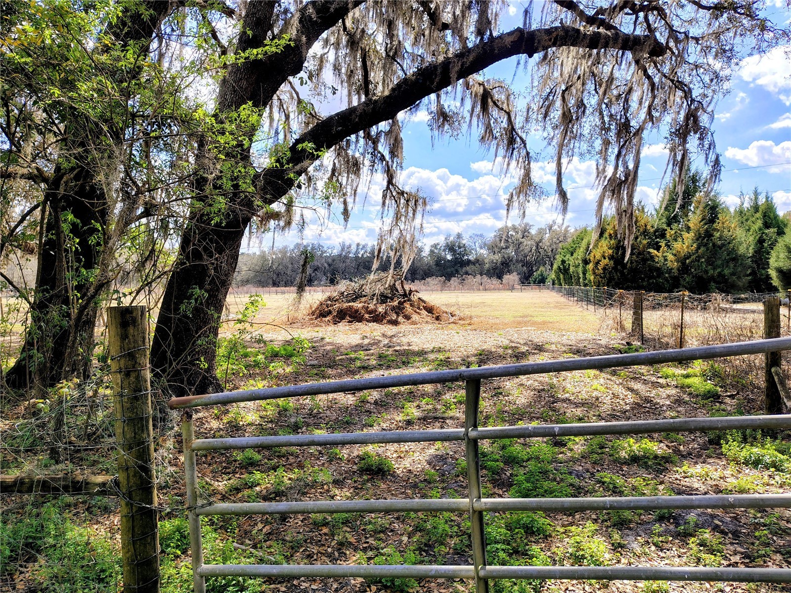 14240 Sr 471 Webster FL 33597 G5108350 image36