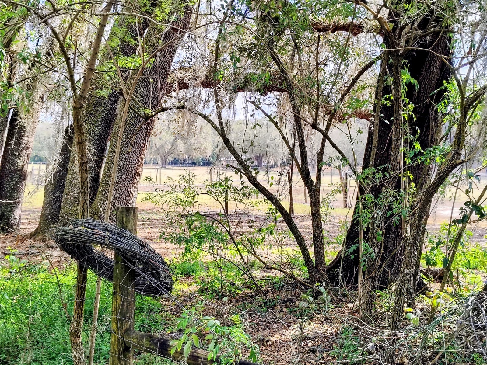 14240 Sr 471 Webster FL 33597 G5108350 image37