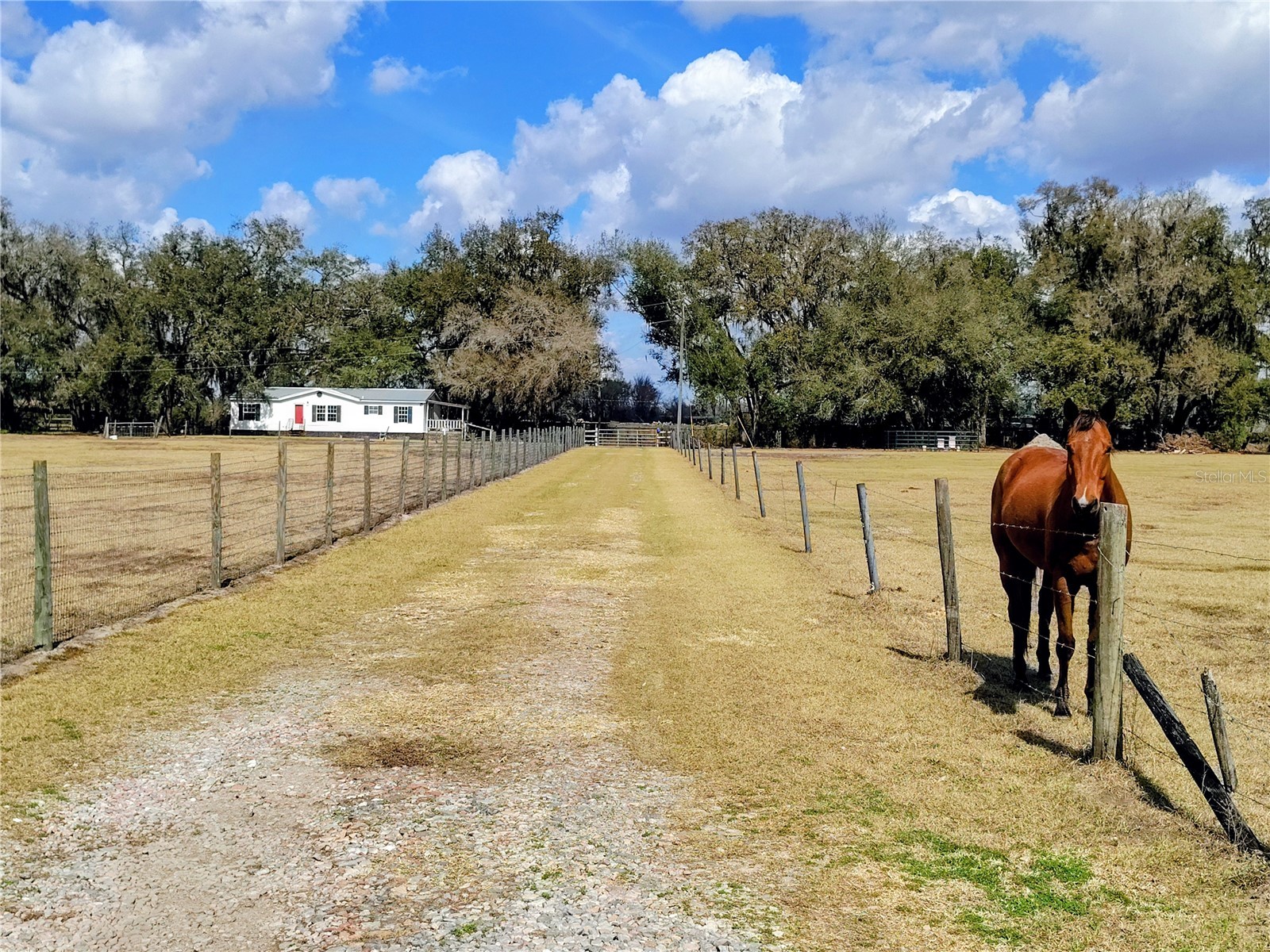 14240 Sr 471 Webster FL 33597 G5108350 image4